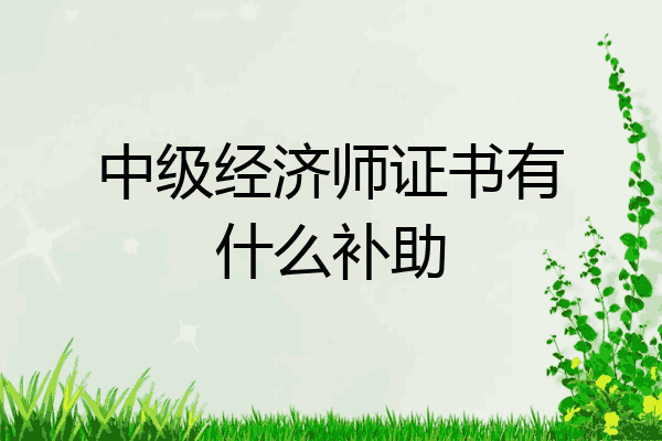 中级经济师证书有什么补助