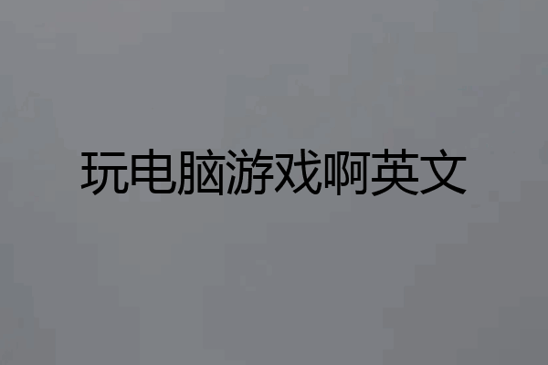 玩电脑游戏啊英文