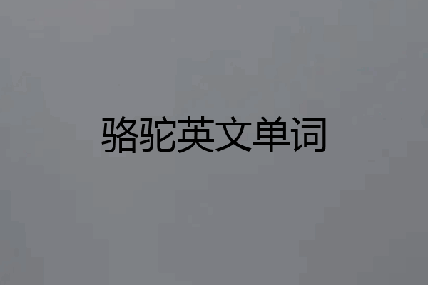 骆驼英文单词