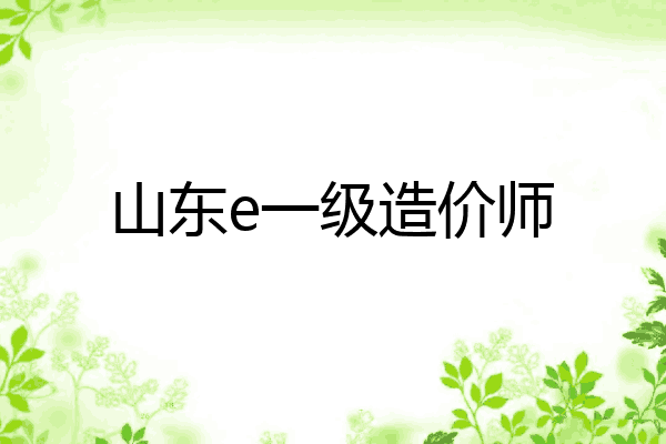山东e一级造价师