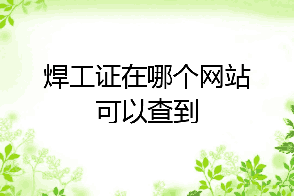 焊工证在哪个网站可以查到