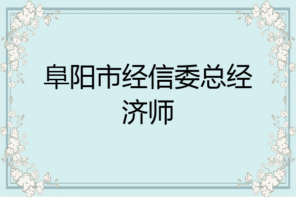 阜阳市经信委总经济师
