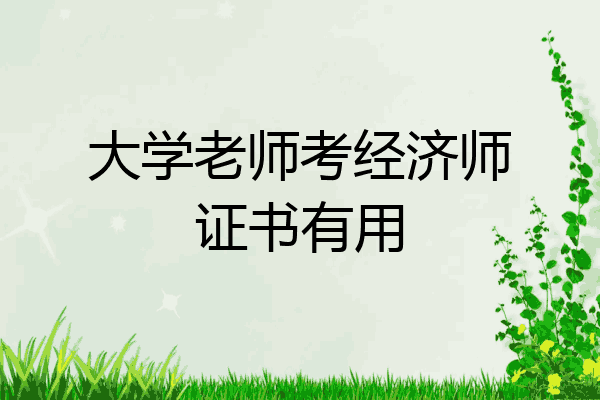 大学老师考经济师证书有用
