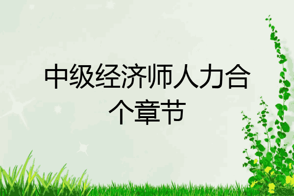 中级经济师人力合个章节