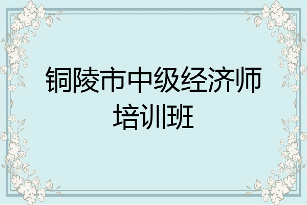 铜陵市中级经济师培训班