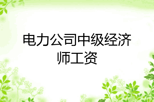 电力公司中级经济师工资