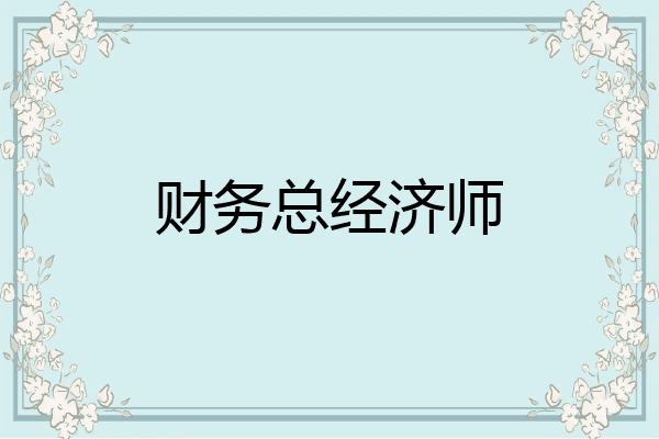 财务总经济师