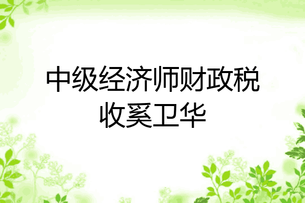 中级经济师财政税收奚卫华