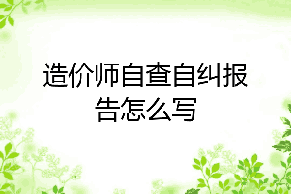 造价师自查自纠报告怎么写