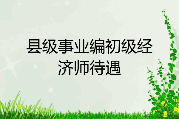 县级事业编初级经济师待遇