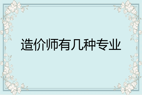 造价师有几种专业