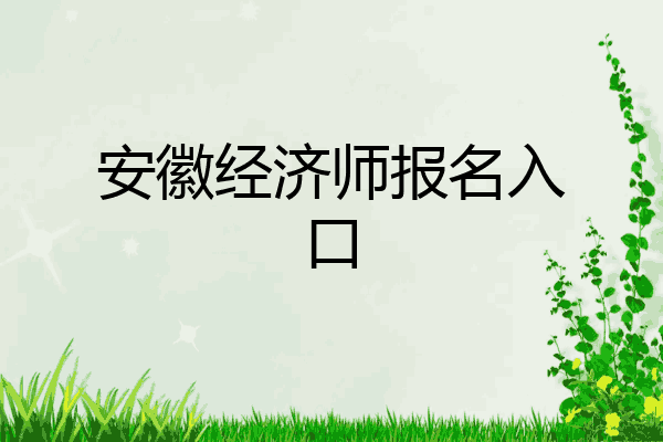 安徽经济师报名入口