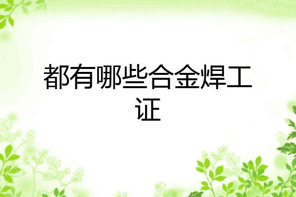 都有哪些合金焊工证