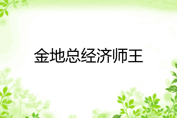 金地总经济师王