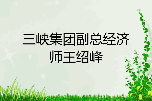三峡集团副总经济师王绍峰