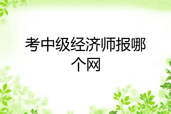 考中级经济师报哪个网