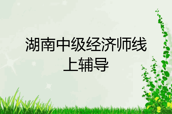 湖南中级经济师线上辅导