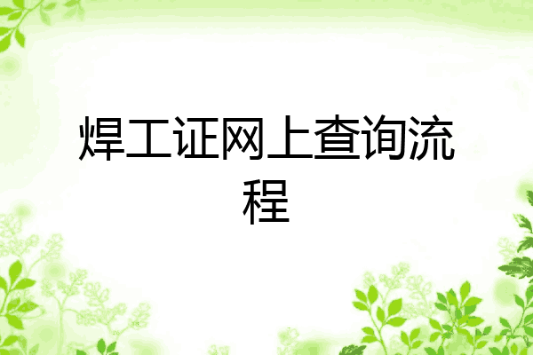 焊工证网上查询流程