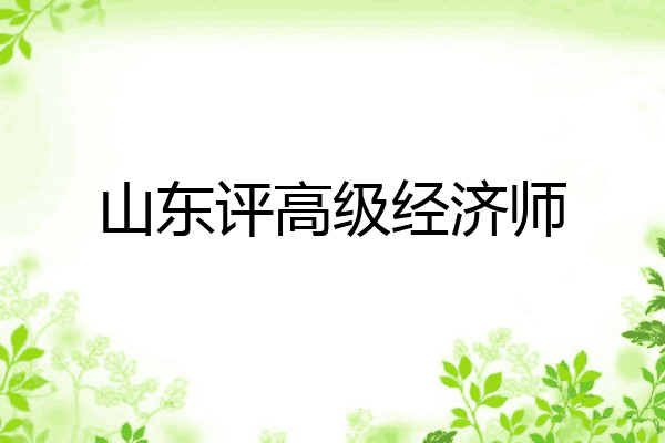 山东评高级经济师