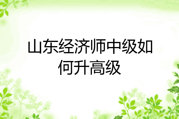 山东经济师中级如何升高级