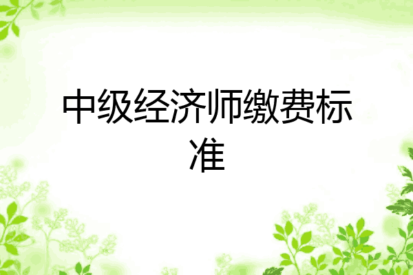 中级经济师缴费标准