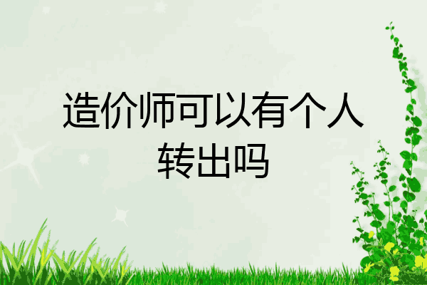 造价师可以有个人转出吗