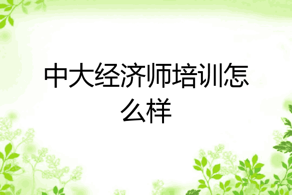 中大经济师培训怎么样