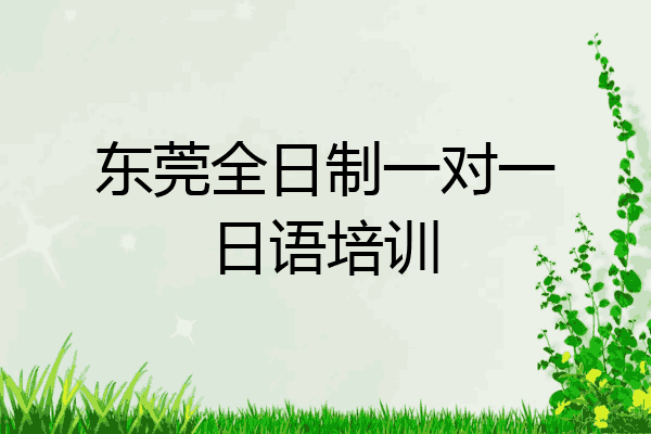 东莞全日制一对一日语培训