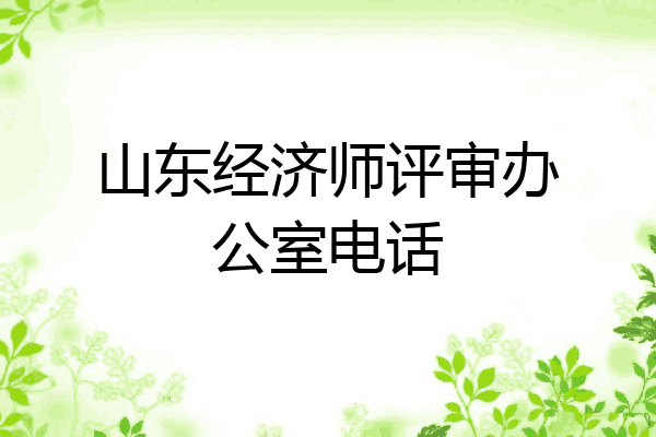 山东经济师评审办公室电话