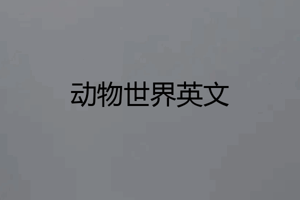 动物世界英文