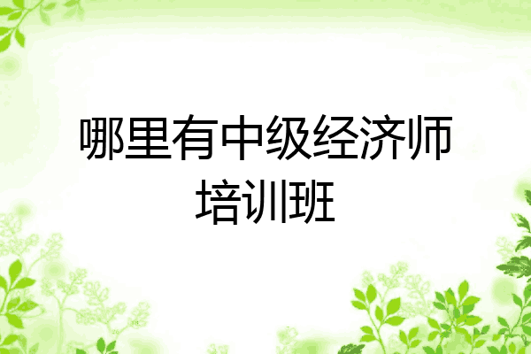 哪里有中级经济师培训班