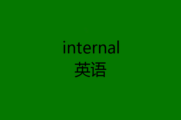 internal英语