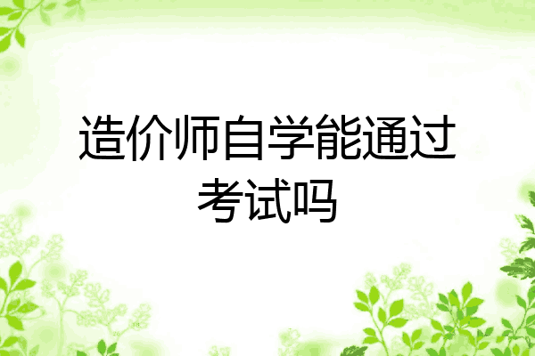 造价师自学能通过考试吗