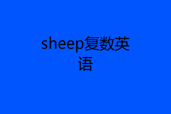 sheep复数英语