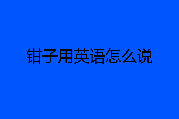 钳子用英语怎么说