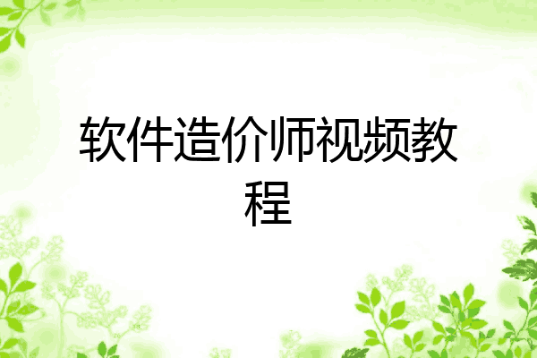 软件造价师视频教程