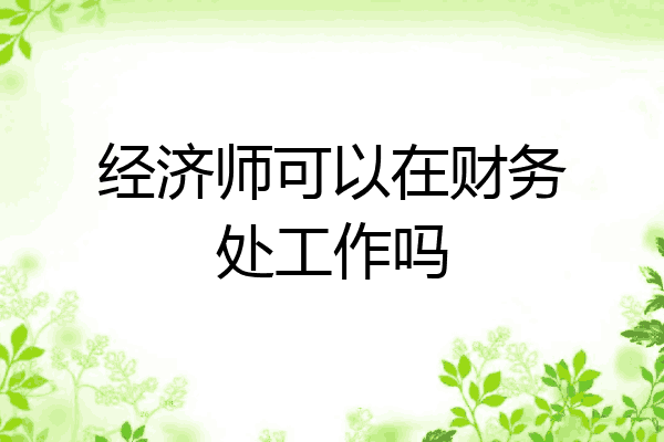 经济师可以在财务处工作吗