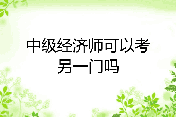 中级经济师可以考另一门吗