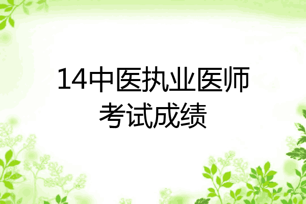 14中医执业医师考试成绩
