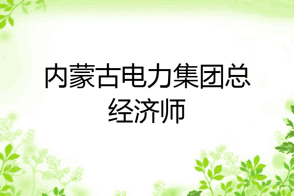 内蒙古电力集团总经济师