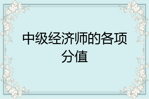 中级经济师的各项分值
