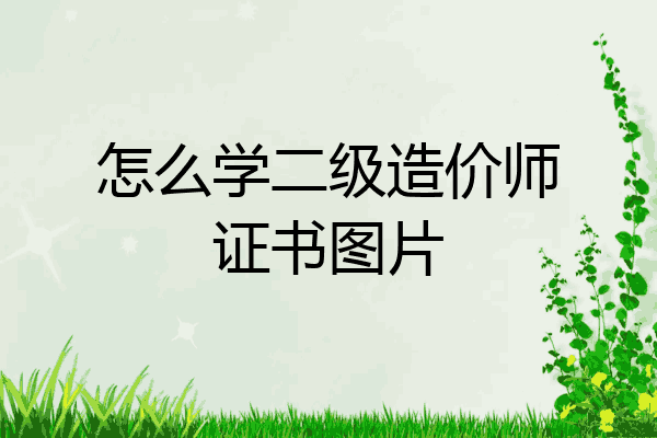 怎么学二级造价师证书图片