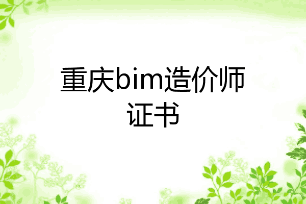 重庆bim造价师证书