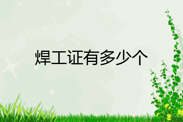 焊工证有多少个