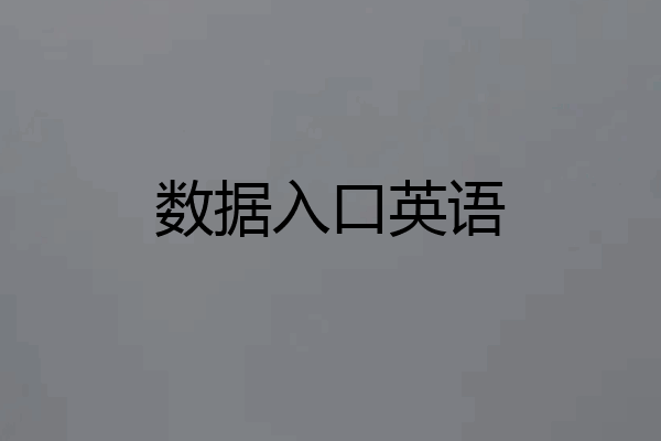 数据入口英语