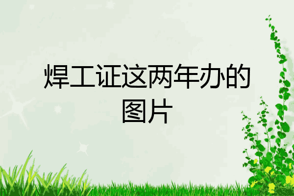 焊工证这两年办的图片