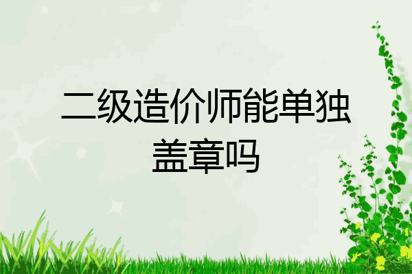 二级造价师能单独盖章吗