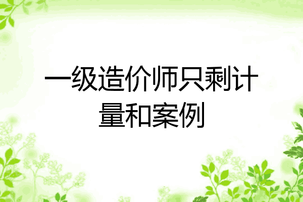 一级造价师只剩计量和案例