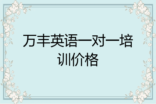 万丰英语一对一培训价格
