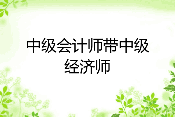 中级会计师带中级经济师